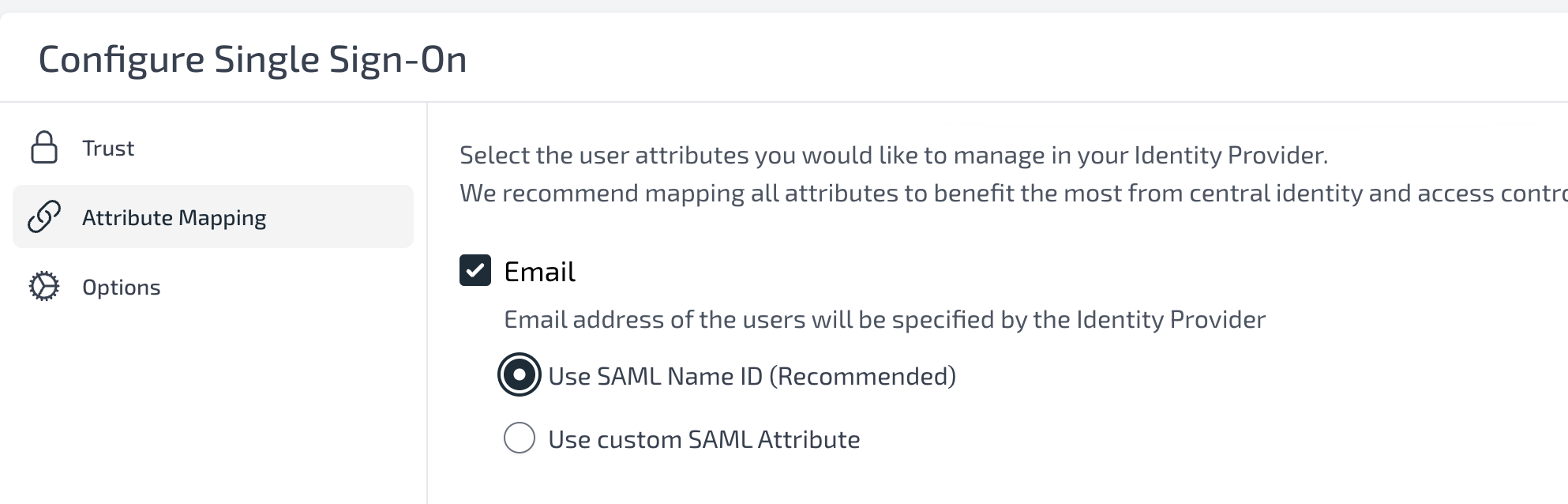 Email & SAML ID